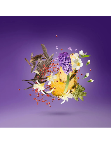 XERJOFF PURPLE ACCENTO EDP 100 ML