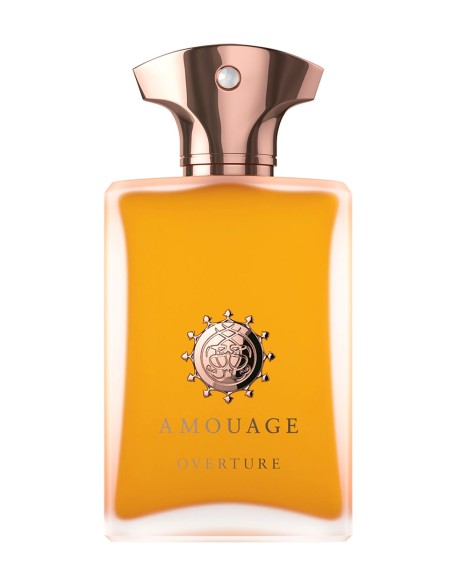 AMOUAGE OVERTURE EDP M 100 ML