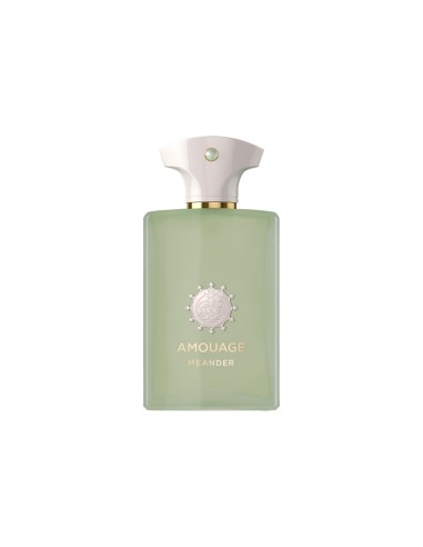 AMOUAGE MEANDER EDP U 100 ML