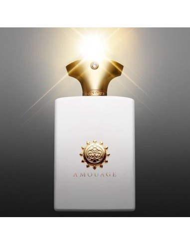 AMOUAGE HONOUR EDP M 100 ML