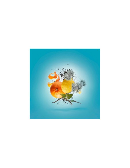 XERJOFF ERBA PURA EDP 100ML
