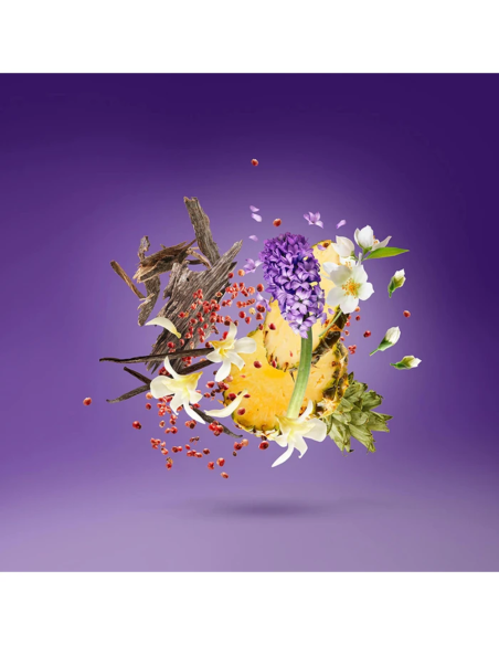 XERJOFF PURPLE ACCENTO EDP 100 ML